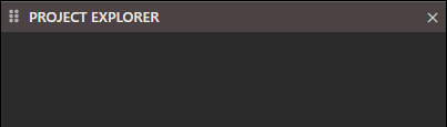 Project Explorer